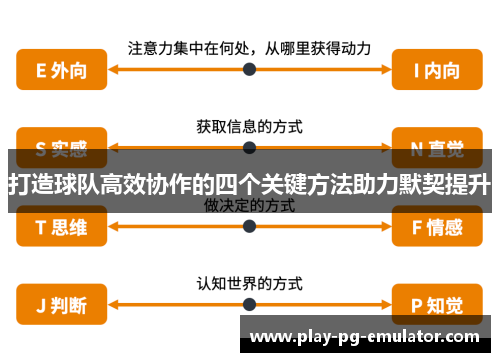 打造球队高效协作的四个关键方法助力默契提升