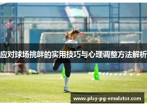 应对球场挑衅的实用技巧与心理调整方法解析