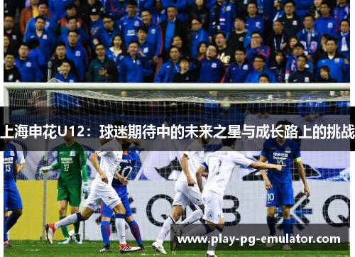 上海申花U12：球迷期待中的未来之星与成长路上的挑战