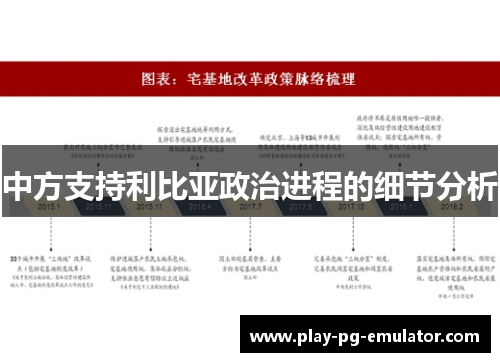 中方支持利比亚政治进程的细节分析
