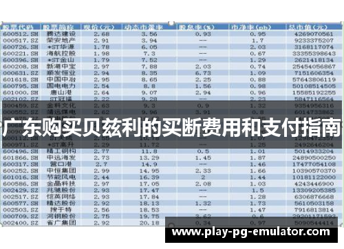 广东购买贝兹利的买断费用和支付指南